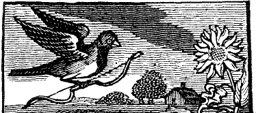 Sparrow with bow and arrow